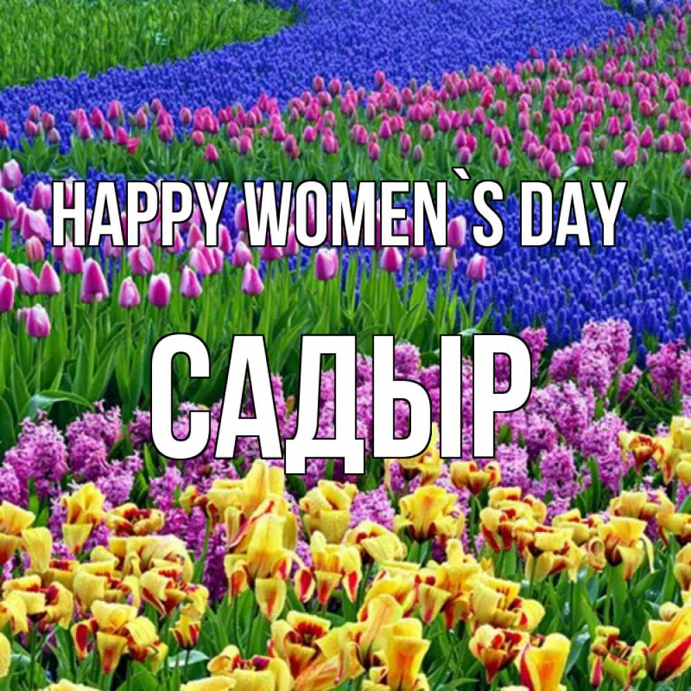 Greetings card с именем, САДЫР happy women`s day цветы Greetings with text for free download 